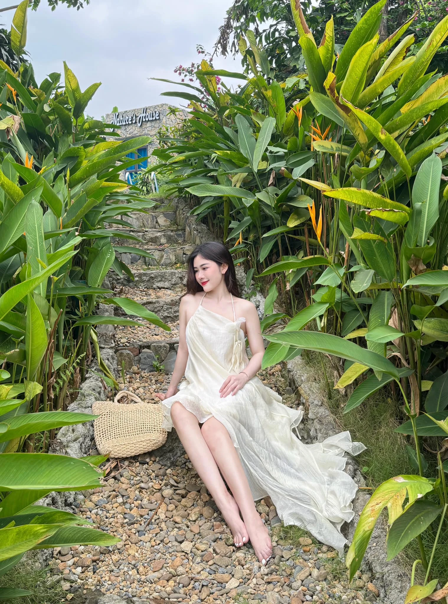 Chu hạ an 1