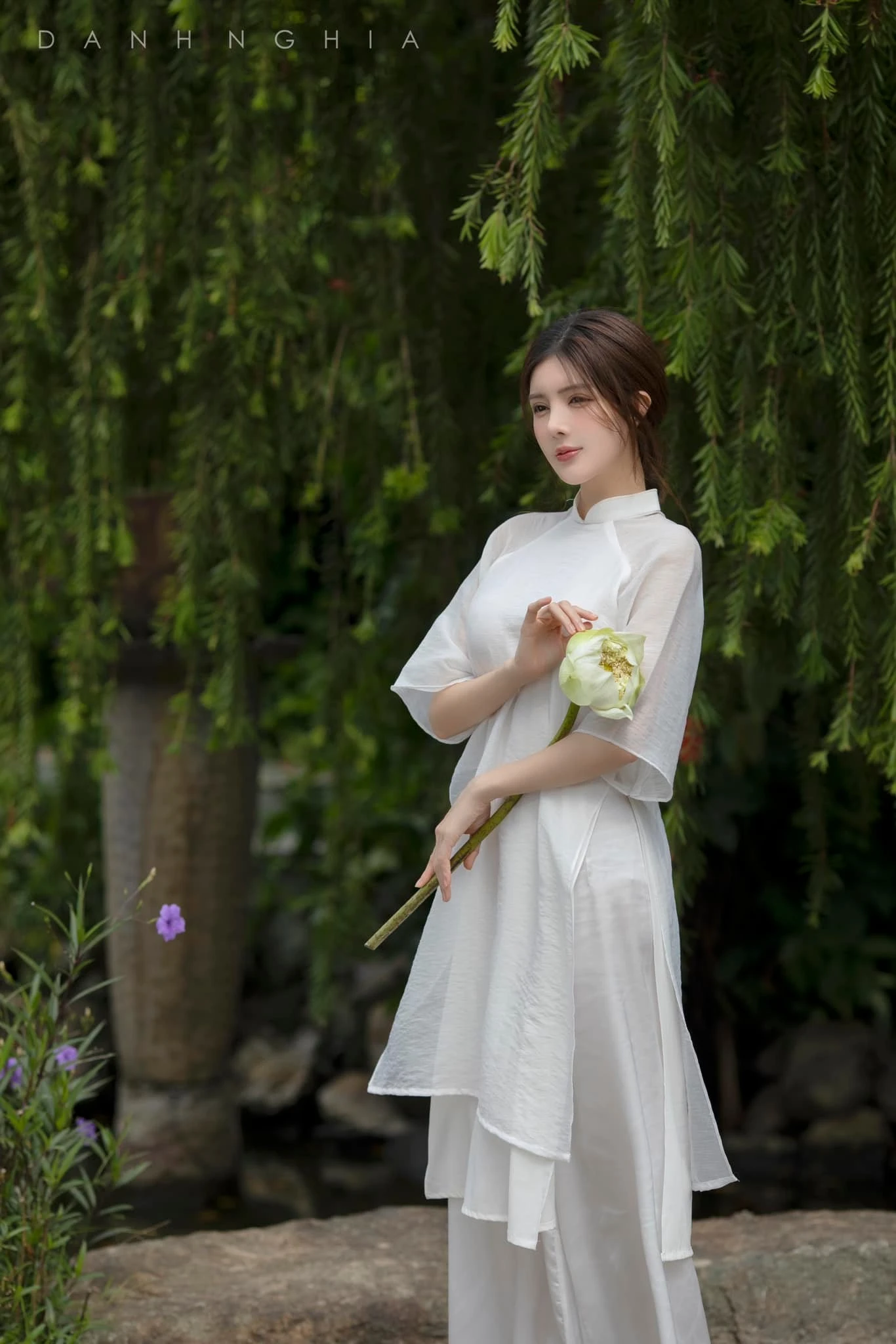 Lilly luta 5