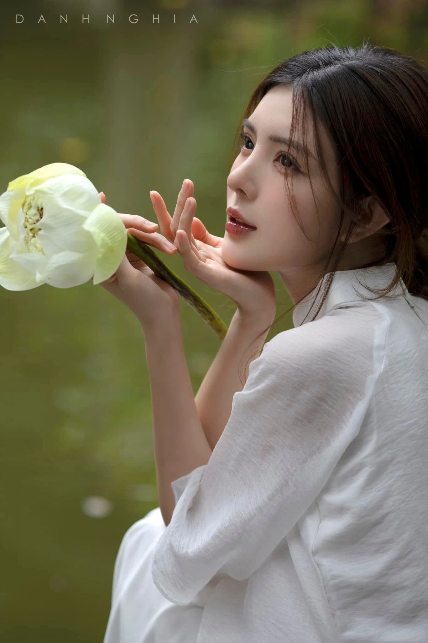Lilly luta 6