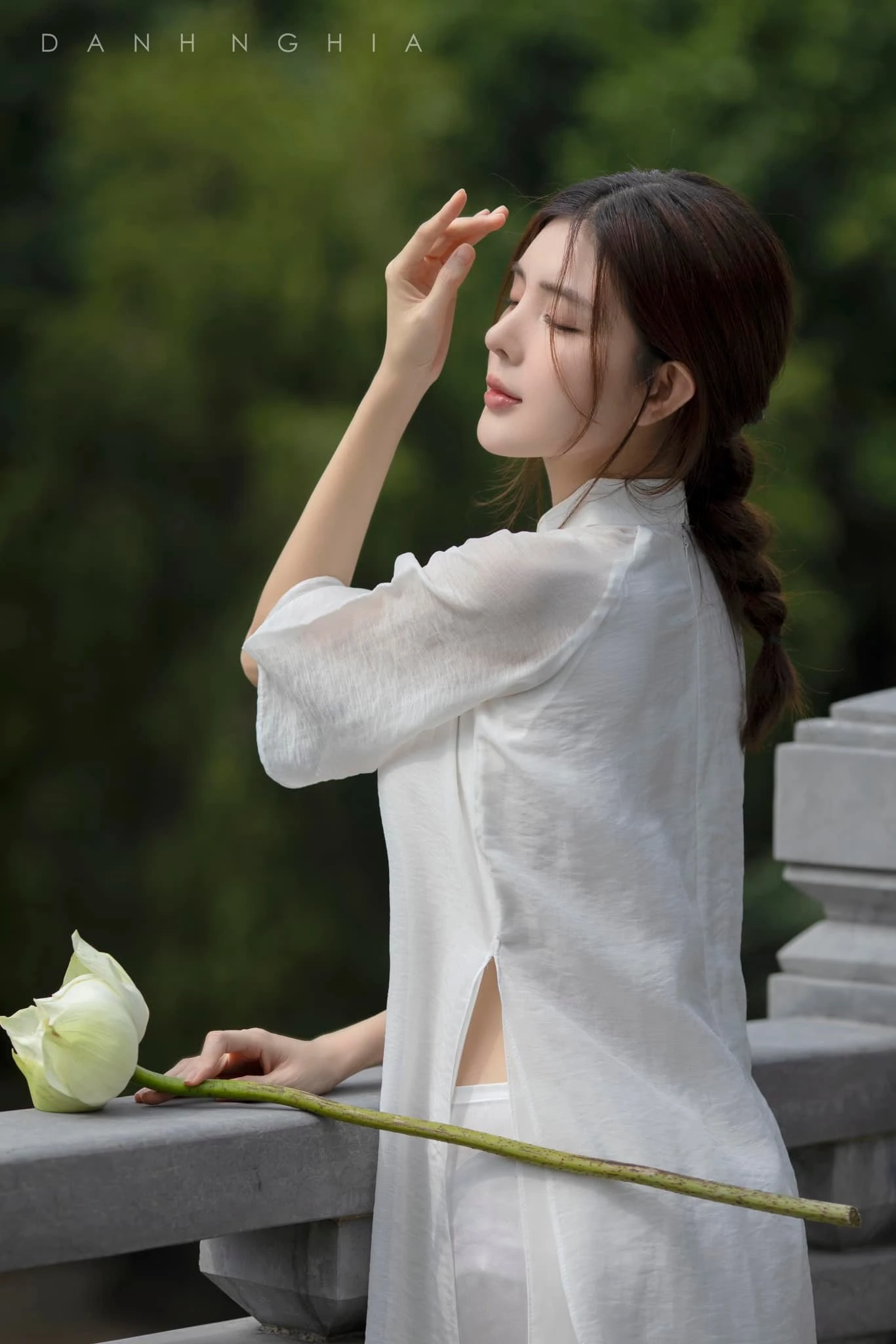 Lilly luta 7