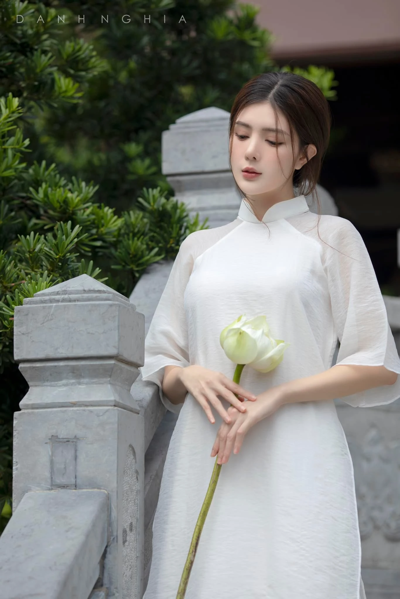 Lilly luta 8